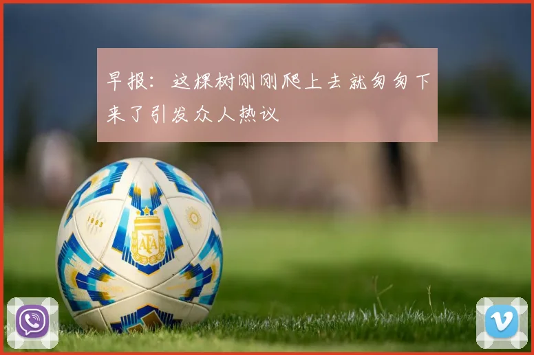 早报：这棵树刚刚爬上去就匆匆下来了引发众人热议