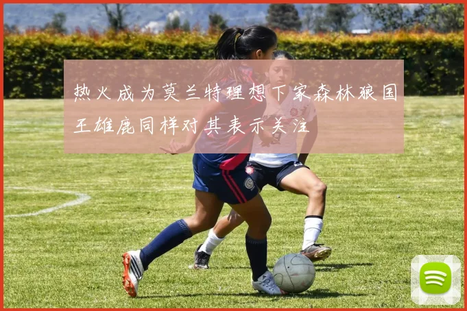 热火成为莫兰特理想下家森林狼国王雄鹿同样对其表示关注
