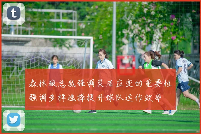 森林狼总裁强调灵活应变的重要性强调多样选择提升球队运作效率